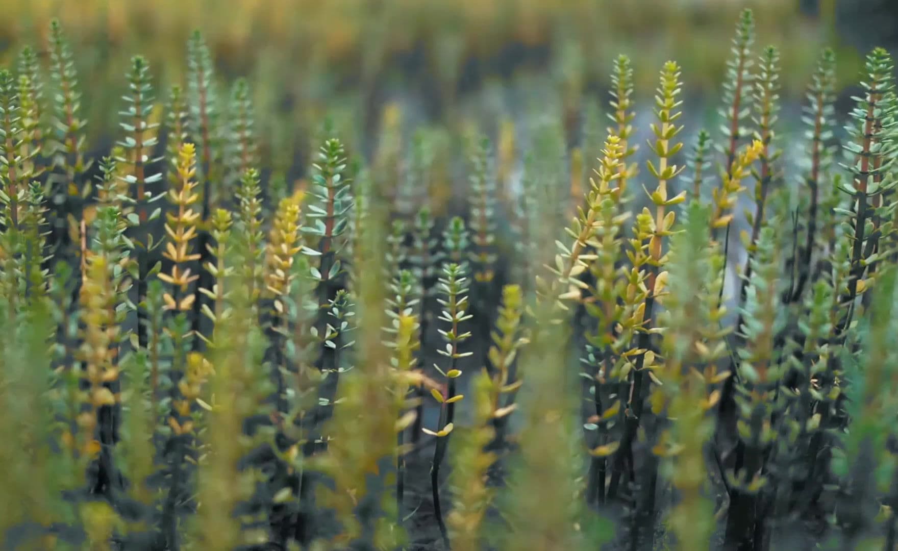 Complete Bodywork Clinic - spa and wellness center